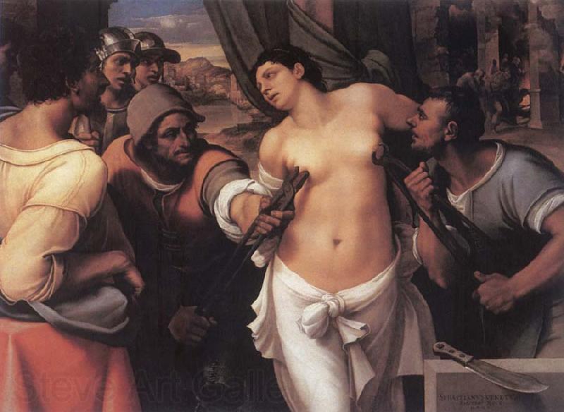 Sebastiano del Piombo The Martydom of St.Agatha Germany oil painting art
